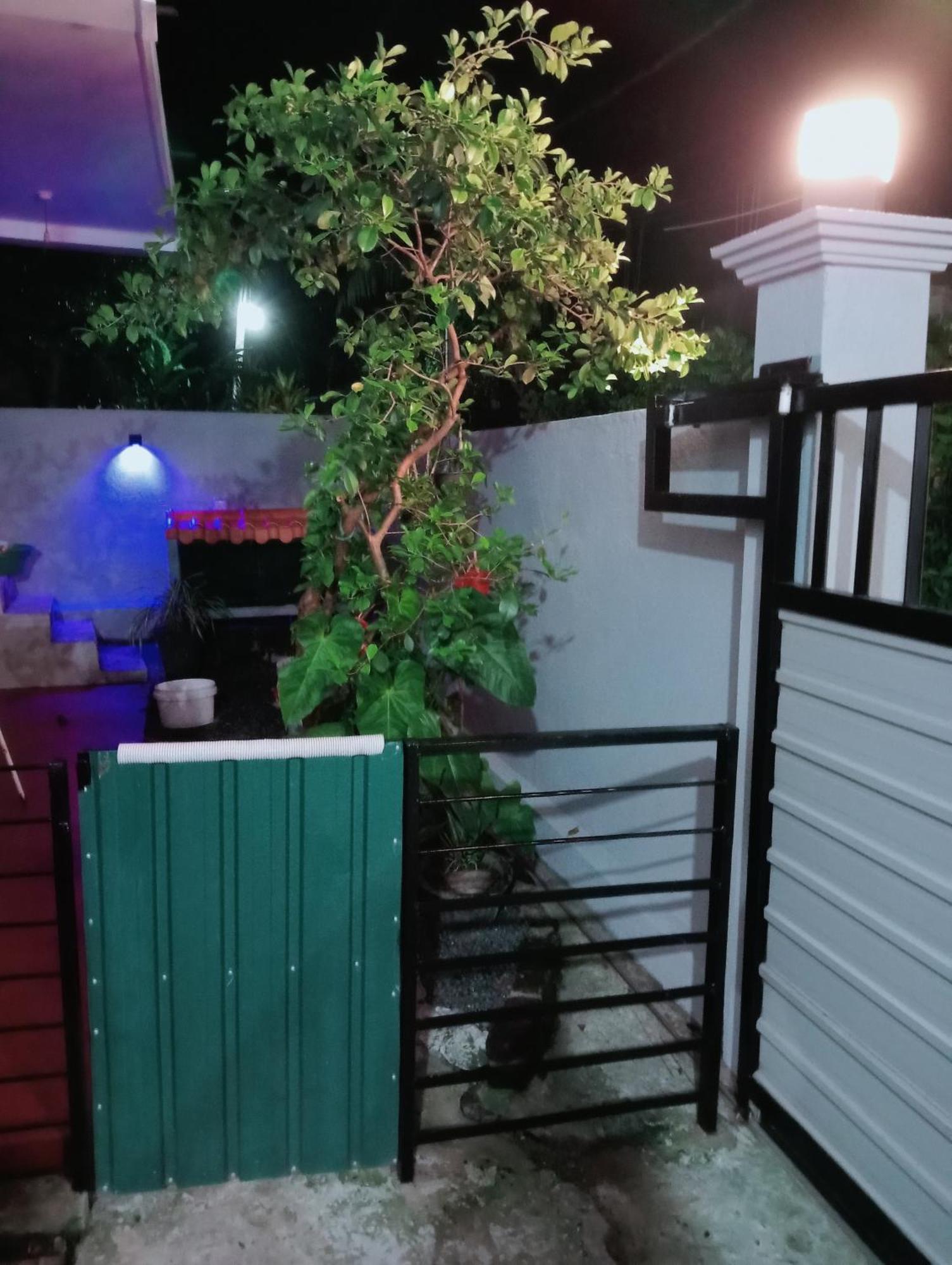 Great Yeheni Villa Hikkaduwa Εξωτερικό φωτογραφία